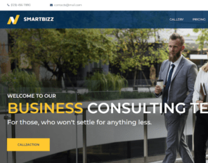 Small Business Web Design